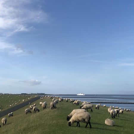 Wind Und Meer - Traumhaft An Der Nordsee 诺德代希 外观 照片