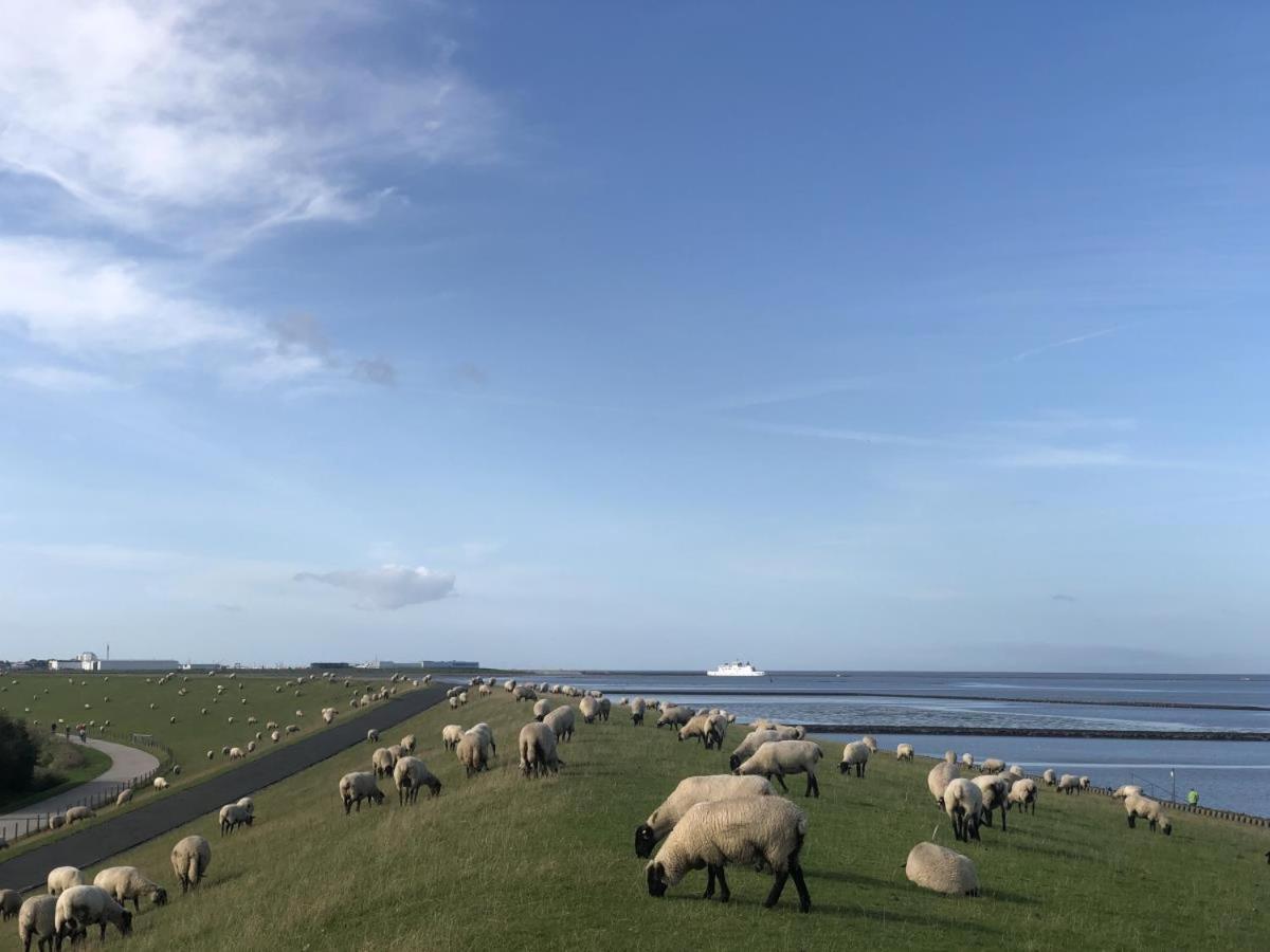 Wind Und Meer - Traumhaft An Der Nordsee 诺德代希 外观 照片
